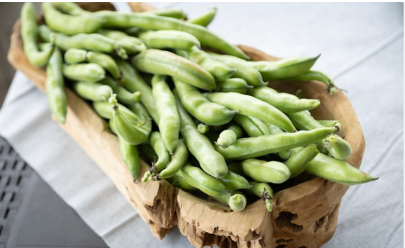 Nutritious Foods for a Healthy Life After Cancer