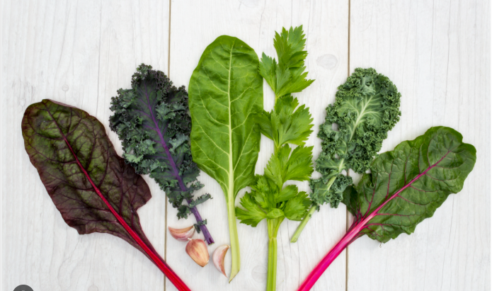 Immune-Boosting Foods for People with Lung Cancer